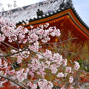 Appart hôtel Sakura Gion North